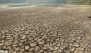 klimaat