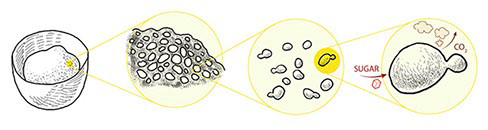 gist_experiment