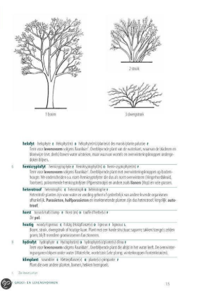botanisch woordenboek