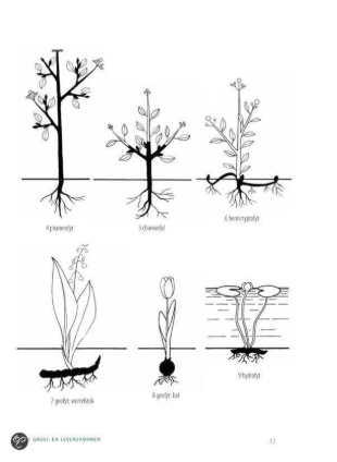 botanisch woordenboek