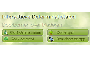 determinatietabel