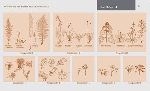 flora
